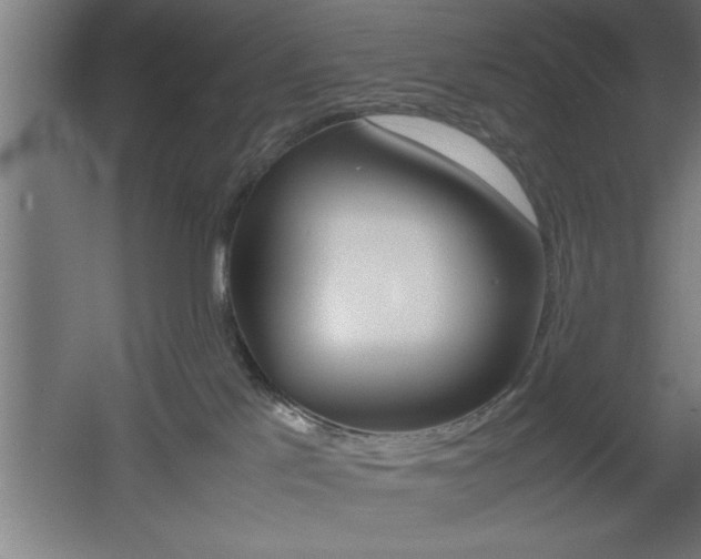 X0000060550041200511030903