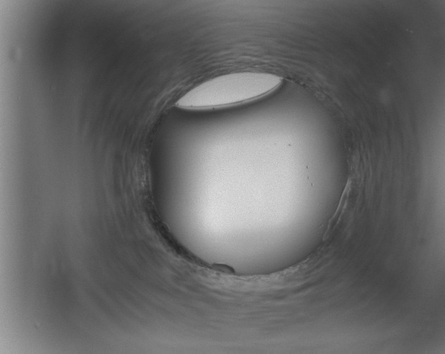 X0000060550043200511030903