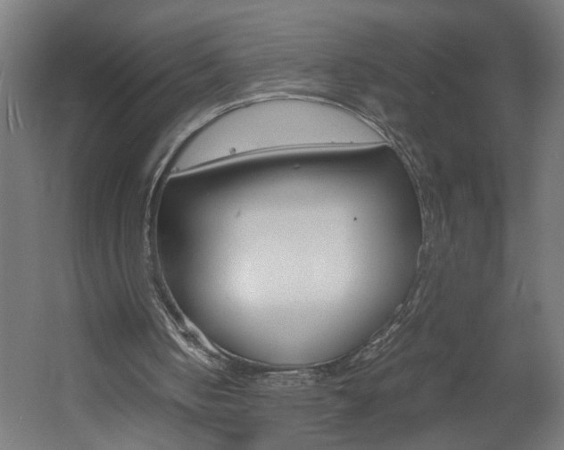 X0000060550050200511030902