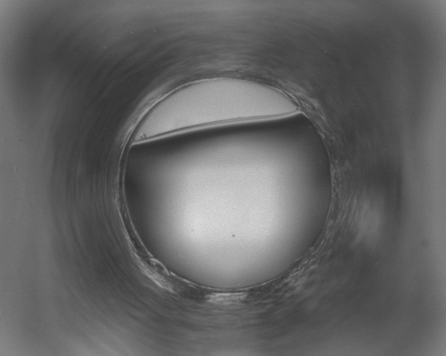 X0000060550051200511030902