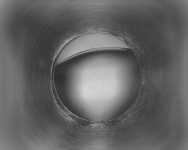 X0000060550052200511030902