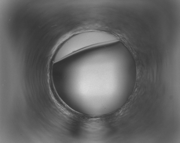 X0000060550054200511030903
