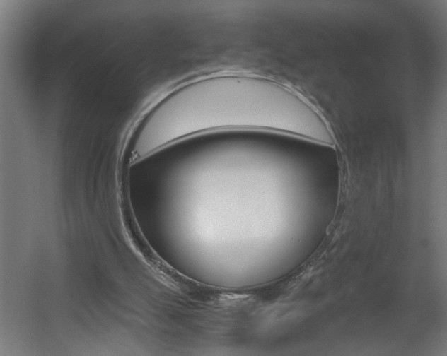 X0000060550055200511030903