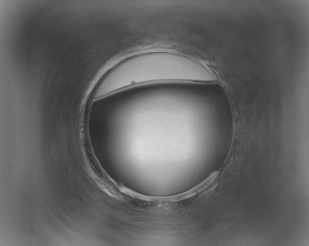 X0000060550056200511030903