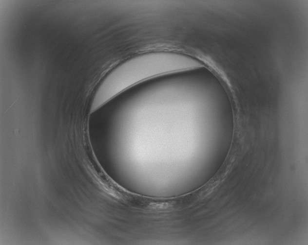 X0000060550057200511030903