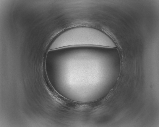 X0000060550058200511030903