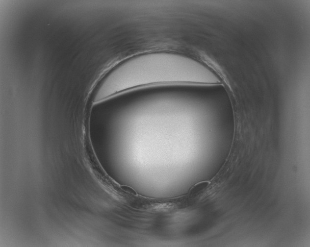 X0000060550059200511030903