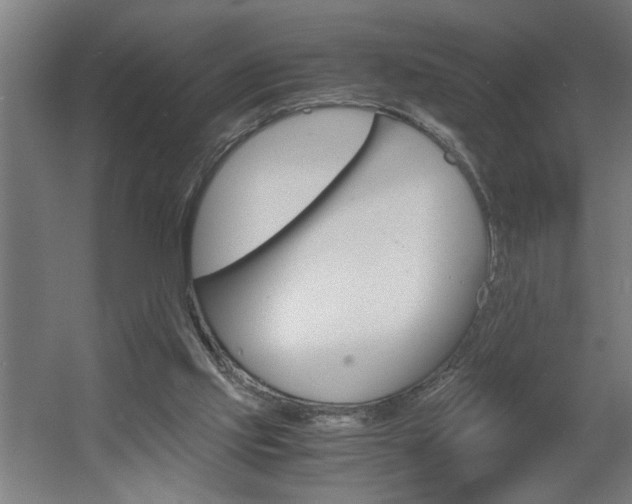 X0000060550061200511030903