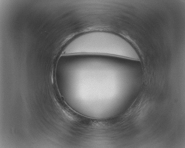 X0000060550062200511030903
