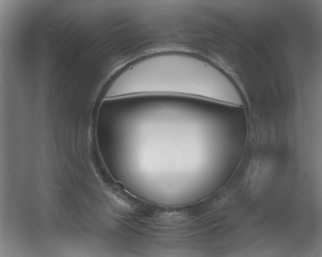 X0000060550063200511030903