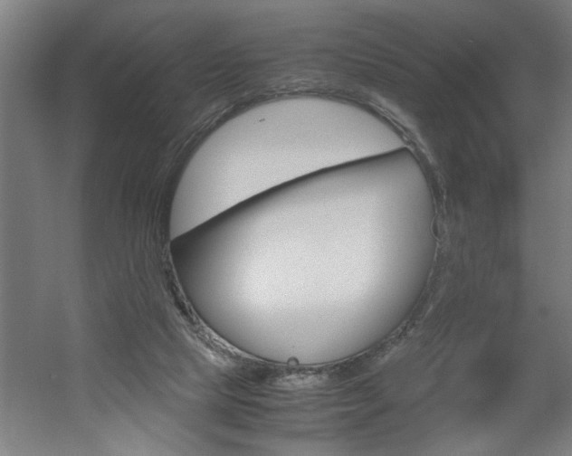 X0000060550065200511030903
