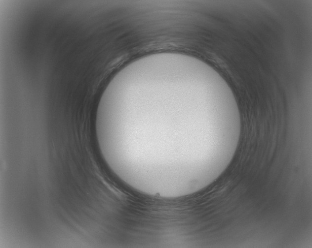 X0000060550072200511030903