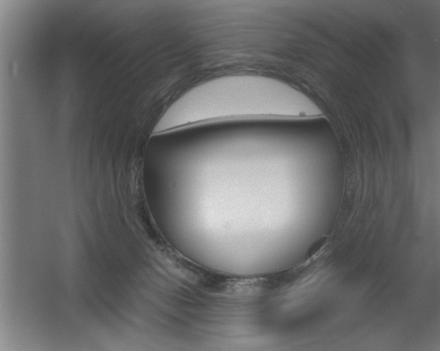 X0000060550078200511030903