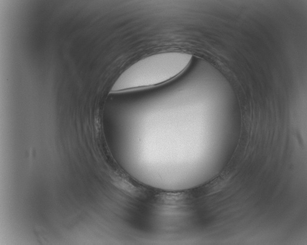 X0000060550085200511030903