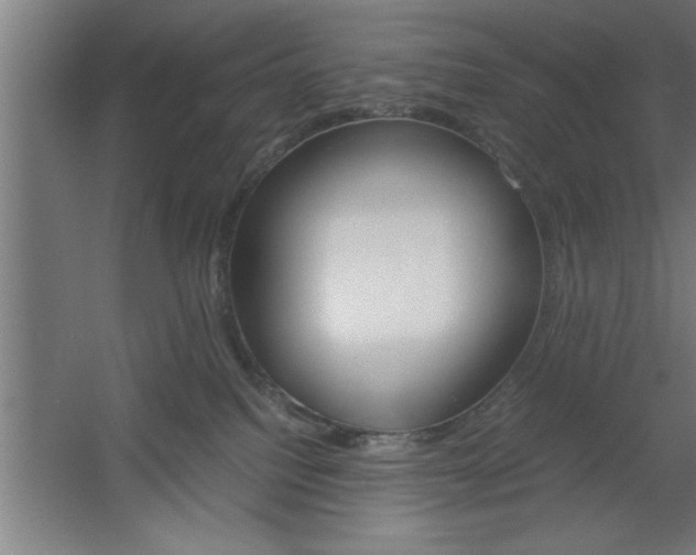 X0000060550088200511030903