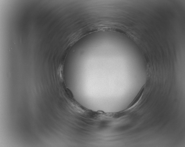 X0000060550094200511030903
