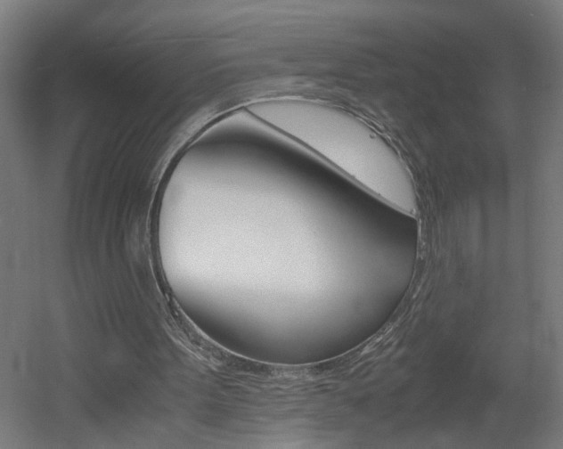 X0000060550099200511030902