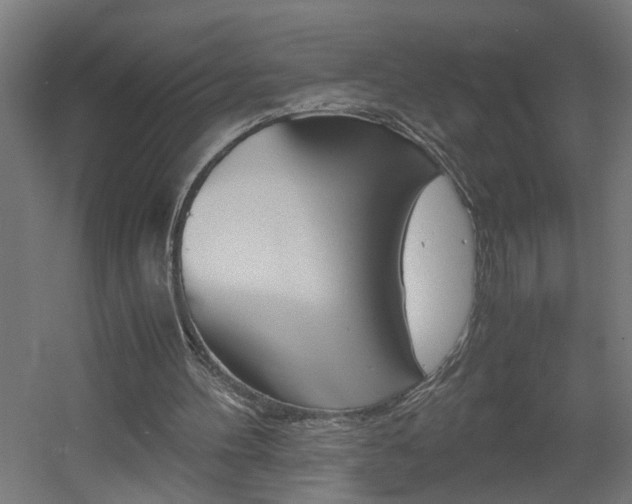 X0000060550100200511030902