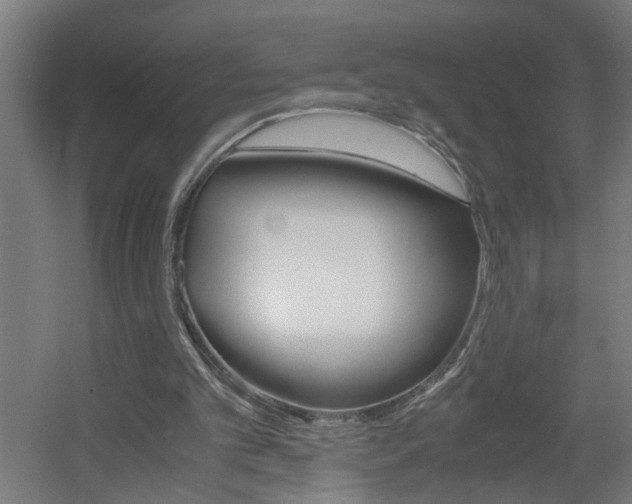 X0000060550101200511030902