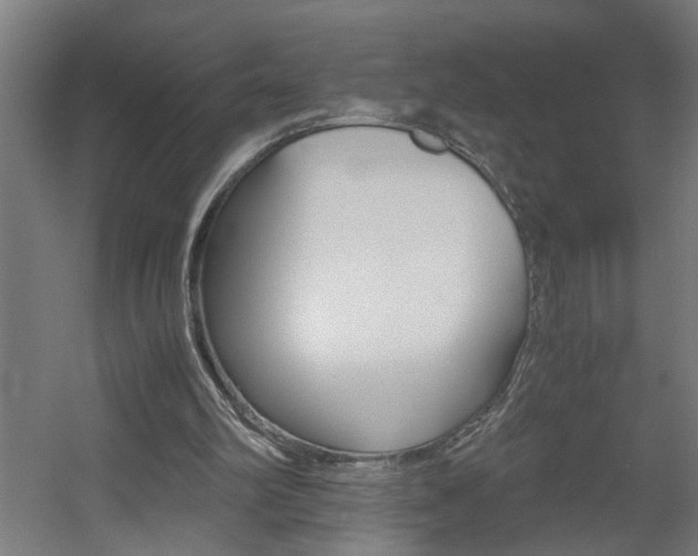 X0000060550102200511030902