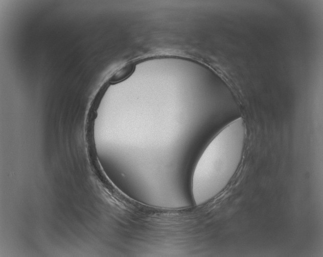 X0000060550104200511030902