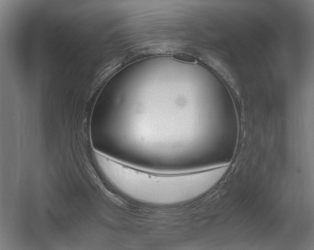 X0000060550105200511030902