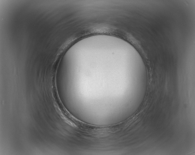 X0000060550106200511030902