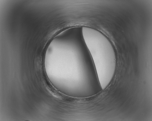 X0000060550107200511030902