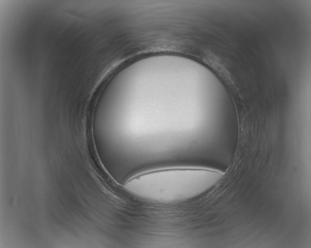 X0000060550108200511030902