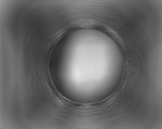 X0000060550113200511030902