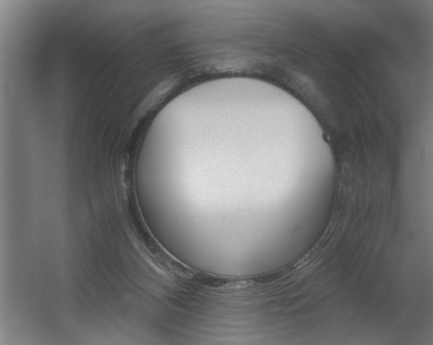 X0000060550116200511030902