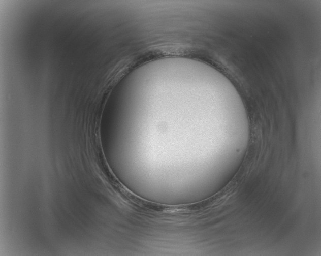 X0000060550117200511030902