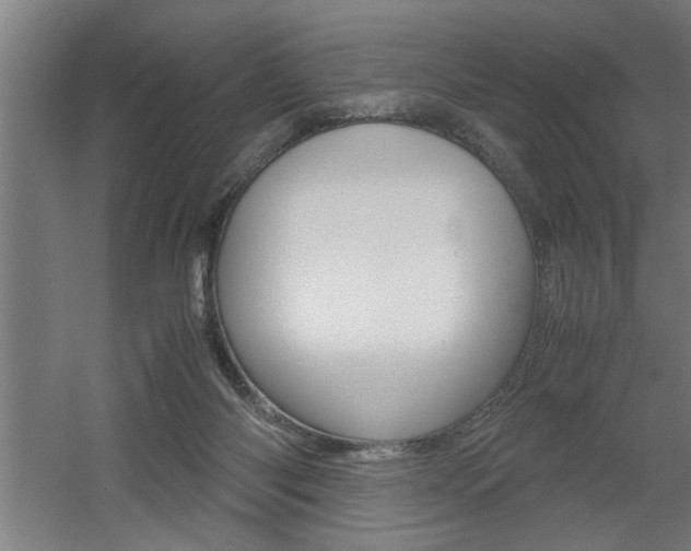 X0000060550118200511030902