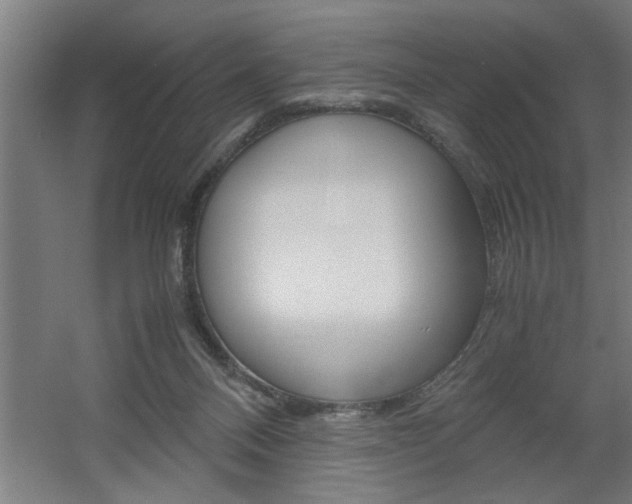 X0000060550120200511030902