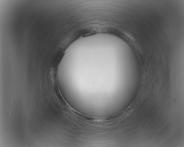 X0000060550121200511030902