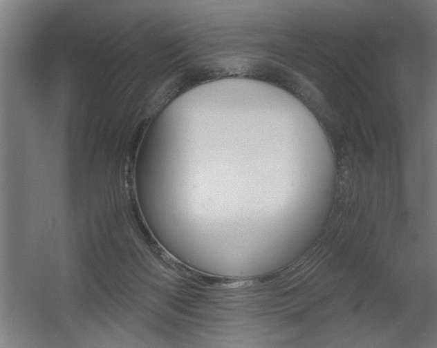 X0000060550122200511030902