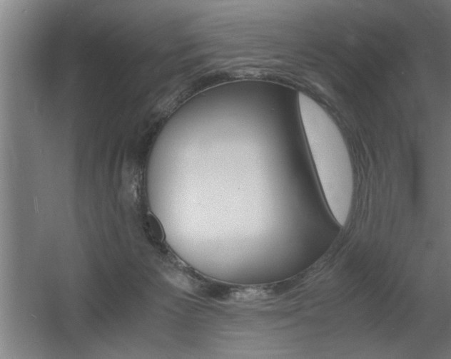 X0000060550125200511030902