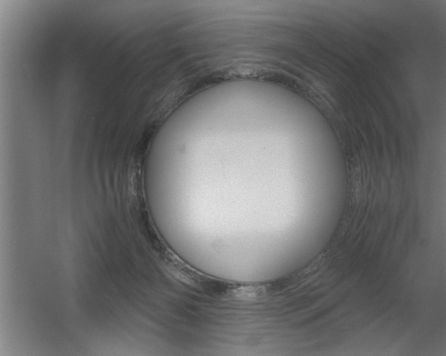 X0000060550126200511030902