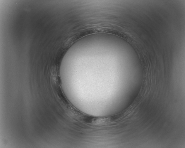X0000060550129200511030902