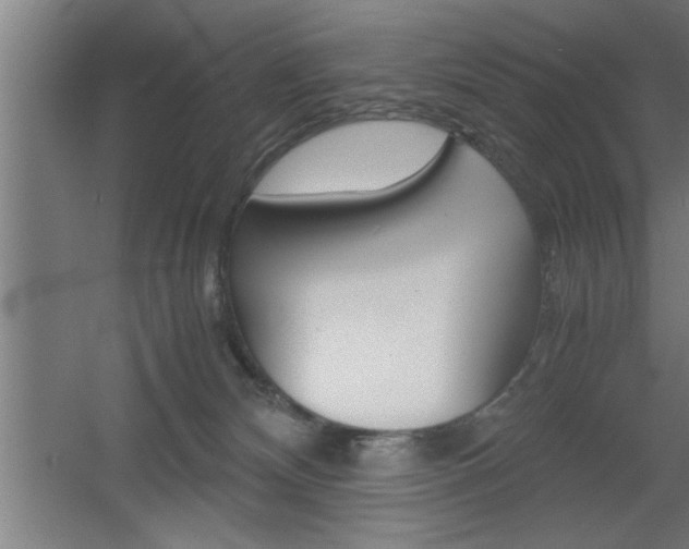 X0000060550132200511030902