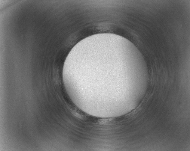X0000060550136200511030902