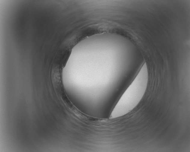 X0000060550137200511030902