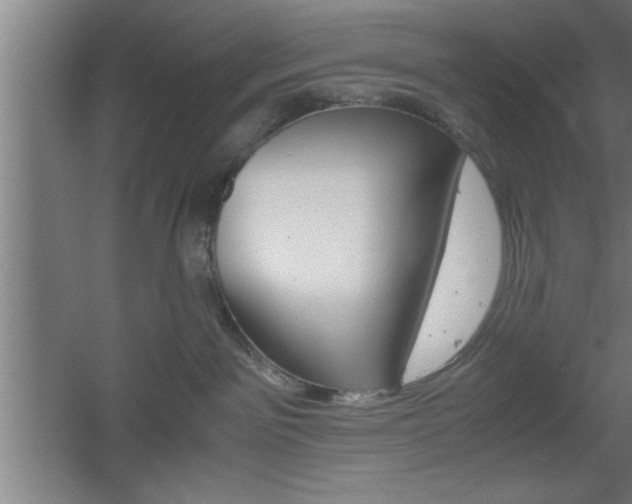 X0000060550141200511030902