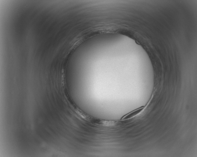 X0000060550144200511030902