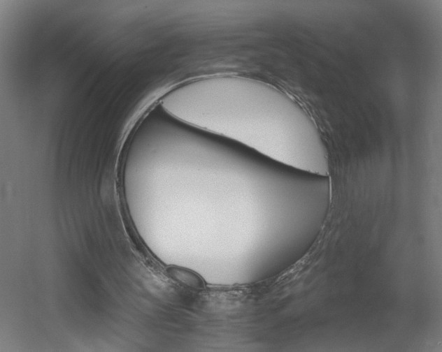 X0000060550147200511030901