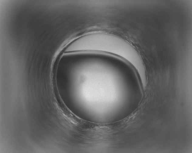 X0000060550150200511030901