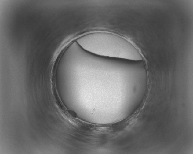 X0000060550151200511030901