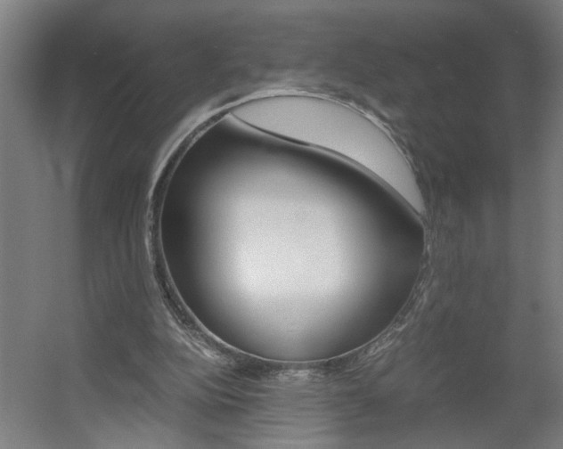 X0000060550152200511030901