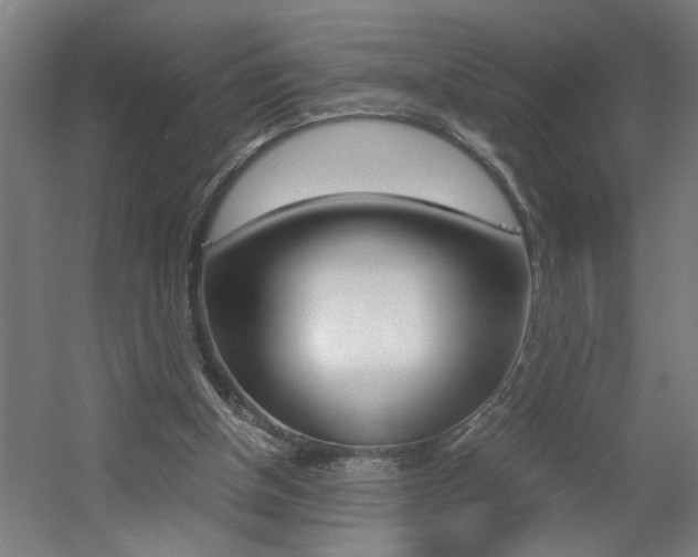 X0000060550154200511030901