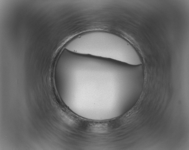 X0000060550155200511030901